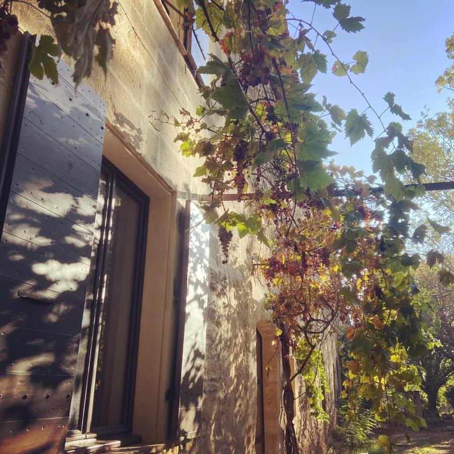 Bed and Breakfast Domaine Cap Rubis Paradou Zewnętrze zdjęcie
