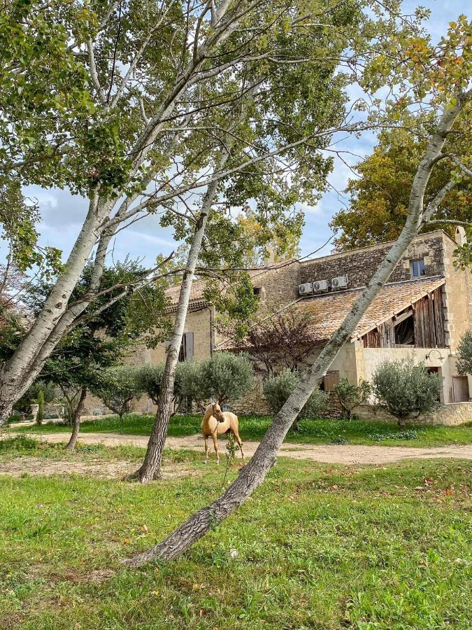 Bed and Breakfast Domaine Cap Rubis Paradou Zewnętrze zdjęcie